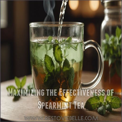 Maximizing the Effectiveness of Spearmint Tea Maximizing the Effectiveness of Spearmint Tea