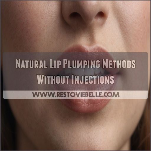 Natural Lip Plumping Methods Without Injections Natural Lip Plumping Methods Without Injections