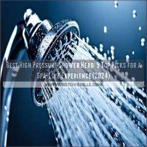 best high pressure shower head