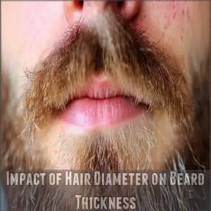 Impact of Hair Diameter on Beard Thickness