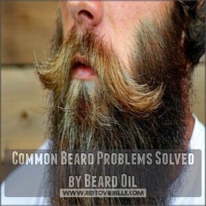 Common Beard Problems Solved by Beard Oil Common Beard Problems Solved by Beard Oil