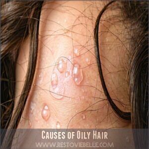 Causes of Oily Hair Causes of Oily Hair