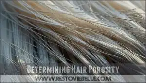 determining hair porosity