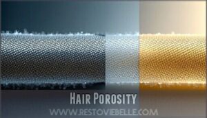 hair porosity