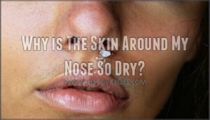 why is the skin around my nose so dry